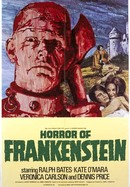The Horror of Frankenstein poster image