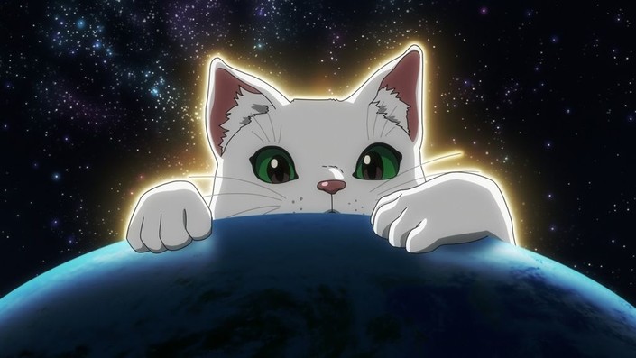Nyaight of the Living Cat: Season 1, Episode 5 | Rotten Tomatoes