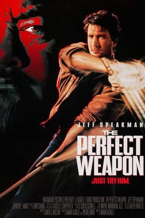 The Perfect Weapon poster