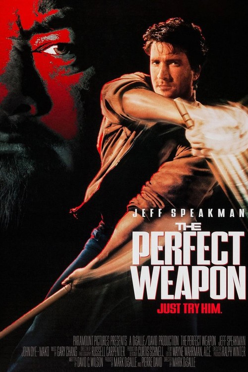 The Perfect Weapon poster