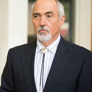 Miguel Sandoval as Judge Hernandez