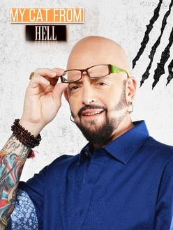 My Cat From Hell Season 2 Episode 2 Rotten Tomatoes