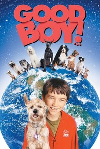 Good Boy! | Rotten Tomatoes