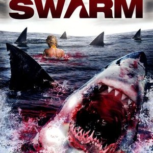 Shark Swarm photo 5