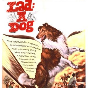 Lad: A Dog (1962)