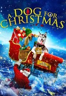 A Dog for Christmas poster image