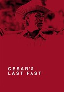 Cesar's Last Fast poster image
