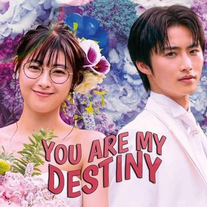 Drama you destiny are my japanese You Are