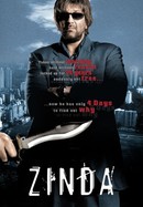 Zinda poster image