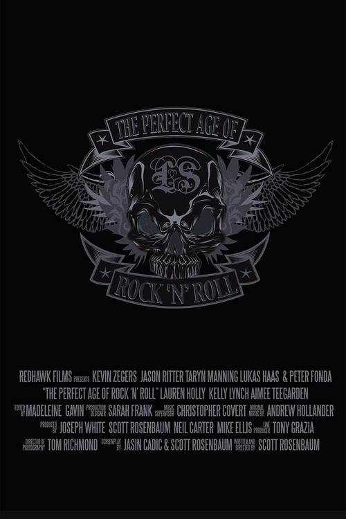 The Perfect Age of Rock 'n' Roll poster