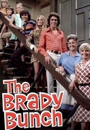The Brady Bunch poster image