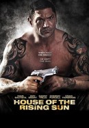 House of the Rising Sun poster image