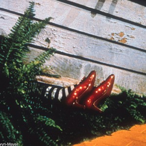 A scene from "The Wizard of Oz."