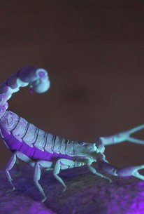 72 Dangerous Animals: Asia: Season 1, Episode 8 - Rotten Tomatoes 72 Dangerous Animals: Asia: Season 1, Episode 8 - Rotten Tomatoes