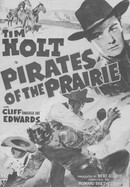 Pirates of the Prairie poster image