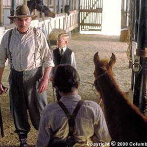 Boss Man (Jan Decleir, left) and his son (Nicholas Trueb, center) confront Richard (Chase Moore, foreground) after they learn he has stolen medicine from Boss Man's stallion, Caesar, to help Lucky. photo 14