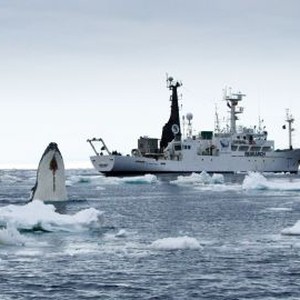 Whale Wars: Season 1, Episode 4 - Rotten Tomatoes