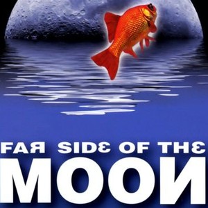 The Far Side of the Moon photo 16