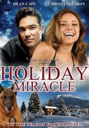 Holiday Miracle poster image