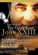 The Good Pope poster image