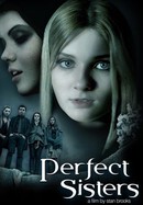 Perfect Sisters poster image