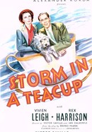 Storm in a Teacup poster image