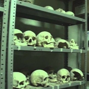 Skull & Bones - Rotten Tomatoes