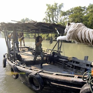 Roar: Tigers of the Sundarbans photo 8