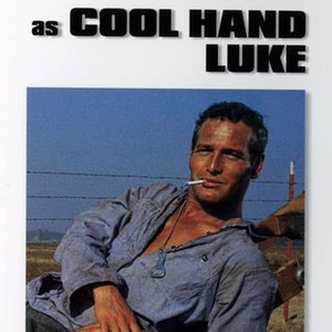 Ending of cool hand luke image
