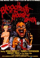 Bloodbath at the House of Death poster image