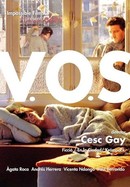 V.O.S. poster image