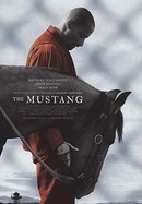 The Mustang poster image