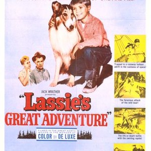 Lassie's Great Adventure (1964)