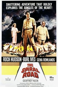 Poster for The Spiral Road