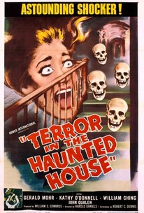 Poster for Terror in the Haunted House