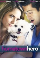 Hometown Hero poster image