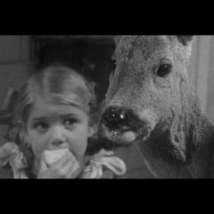 Of Animals and Men photo 9