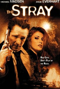 The Stray | Rotten Tomatoes