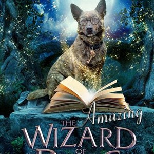 wizard of paws wizard of paws