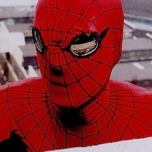 The Amazing Spider-Man (1977) photo 2