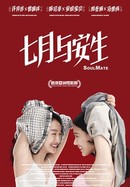 SoulMate poster image