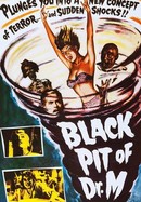 The Black Pit of Dr. M poster image