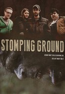 Stomping Ground poster image