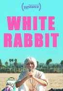 White Rabbit poster image