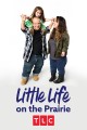 Little Life on the Prairie