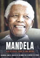 Mandela poster image