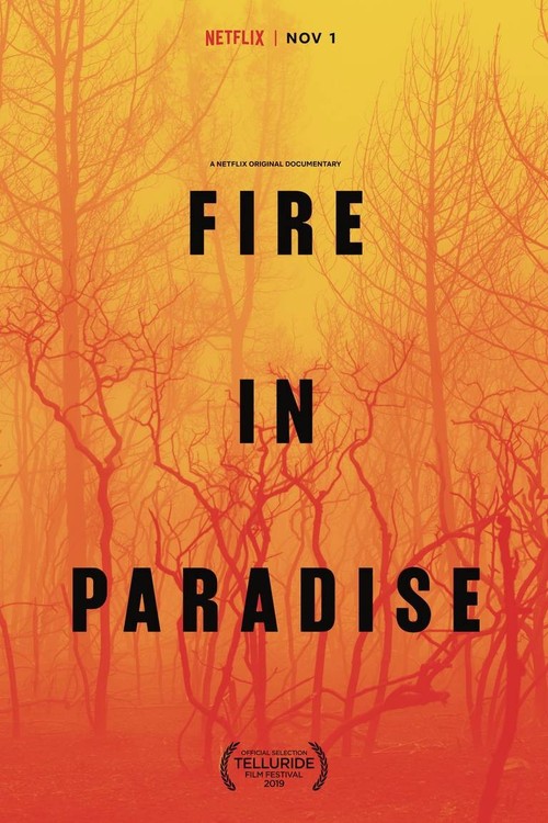 Fire in Paradise poster