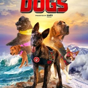 Superpower Dogs (2019) photo 7