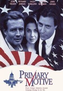 Primary Motive poster image