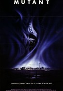 Night Shadows poster image